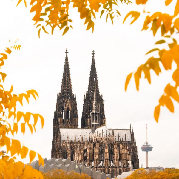 giorgi-iremadze-cWi3iKKs_j0-unsplash giorgi-iremadze-cWi3iKKs_j0-unsplash